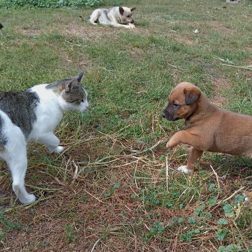 Photo #9669748