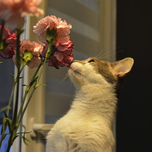 Photo #9669767