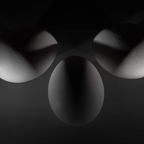 Photo #9670018