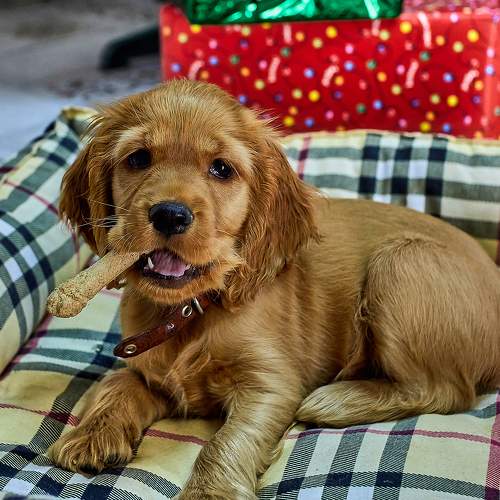 Photo #9670026