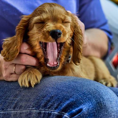Photo #9670034