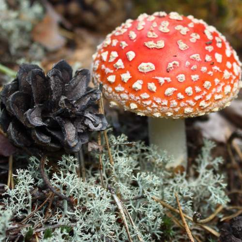 Photo #9670083