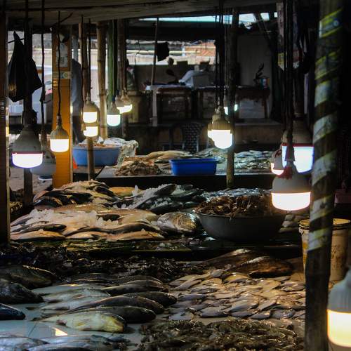 Photo #9670152