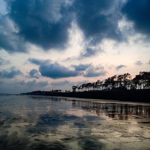 Photo #9670166