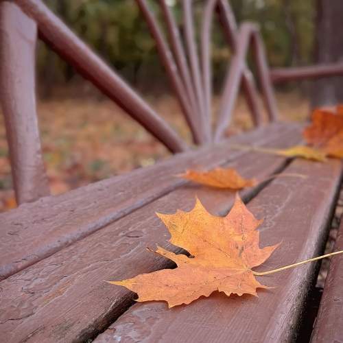 Photo #9670388