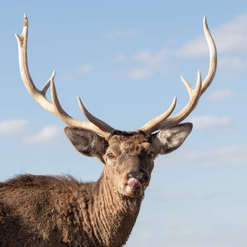 Photo #9670659