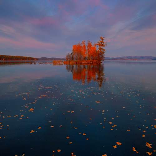 Photo #9670978