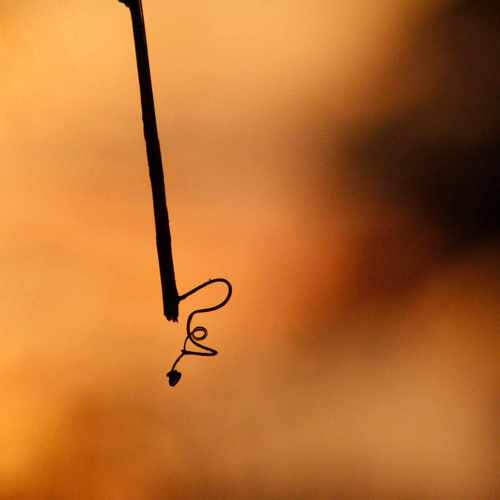 Photo #9671164