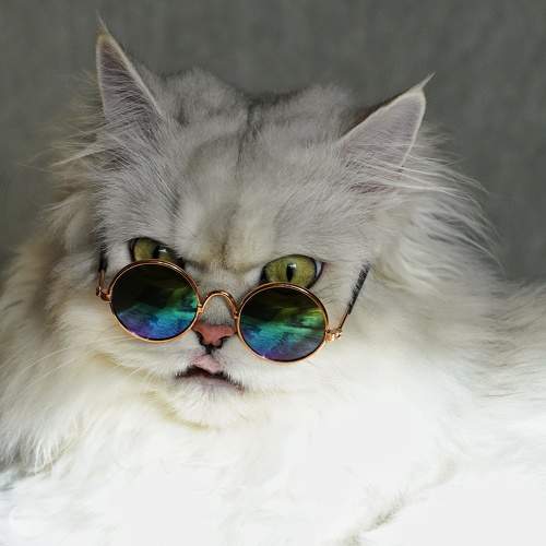 Тайфун