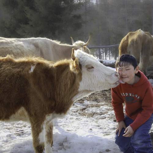 Photo #9671198
