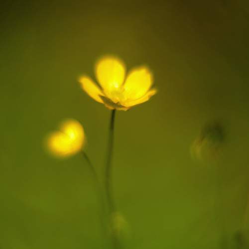 Photo #9671887