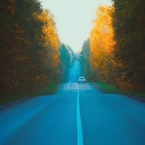 Photo #9671910