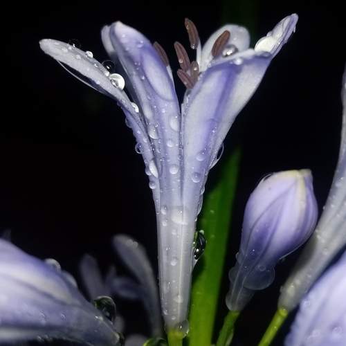 Photo #9672256