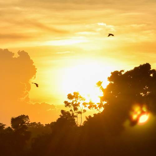 Sunset