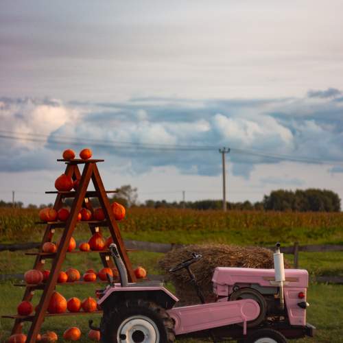 Photo #9672943