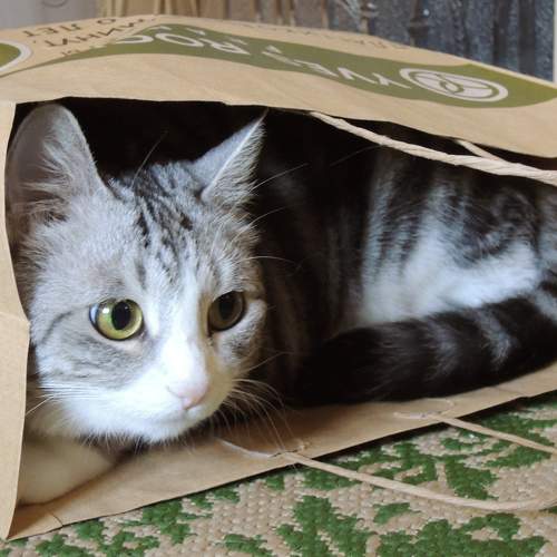 Photo #9673003
