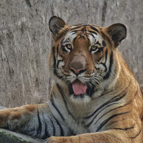 Photo #9673112