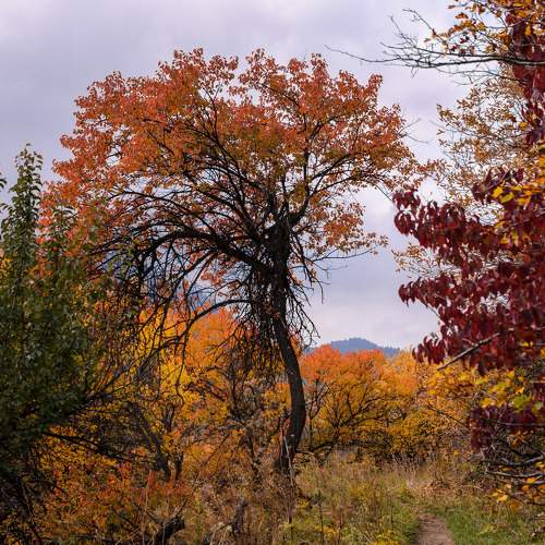 Photo #9673477