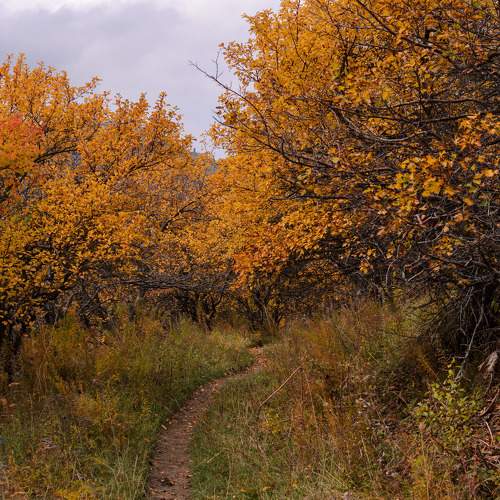 Photo #9673480