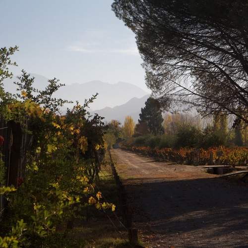 Photo #9673499