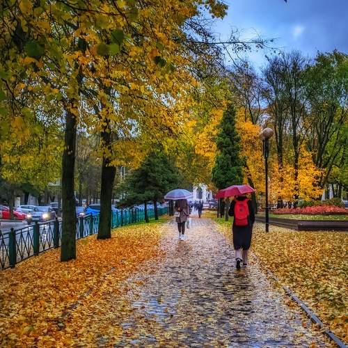 Photo #9673578