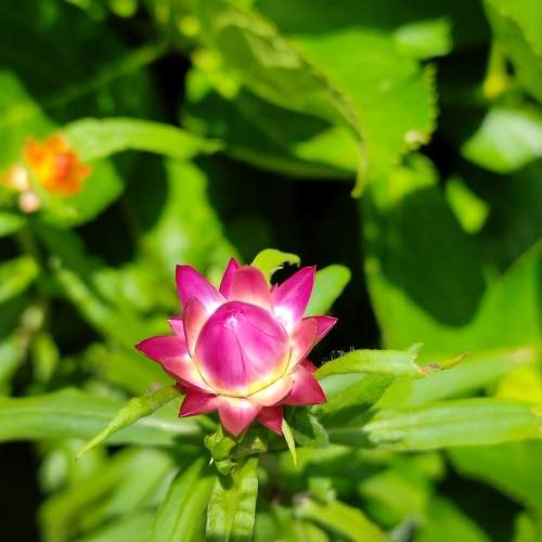 Photo #9673749