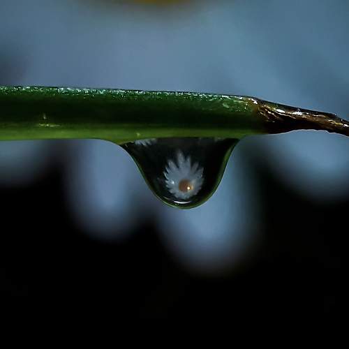 Photo #9674263