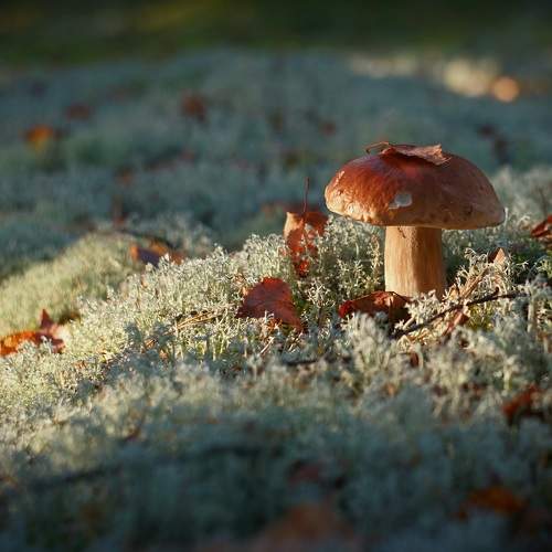 Photo #9674287