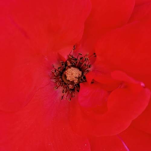 Photo #9674398