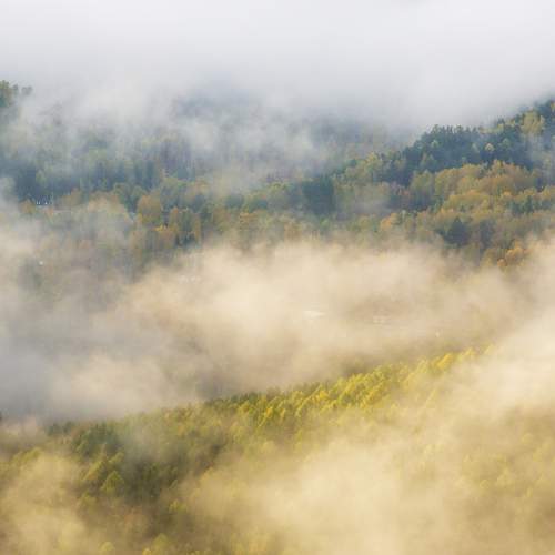 Photo #9674507