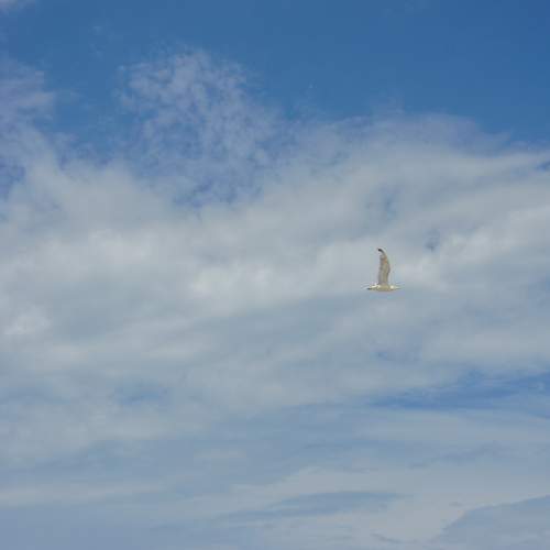 Photo #9674753