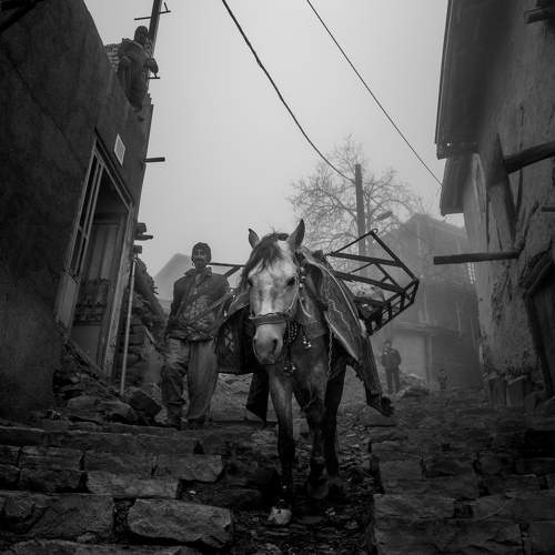 seyed mostafa yousefi