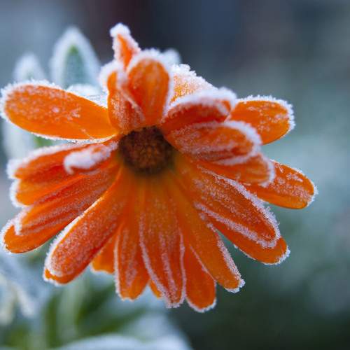 Photo #9674891