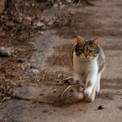 Photo #9674963