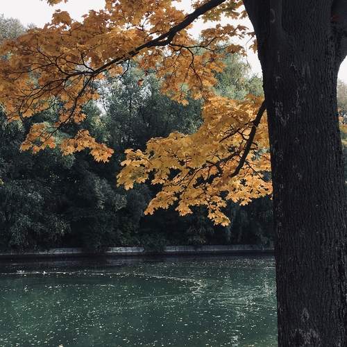 Photo #9675039