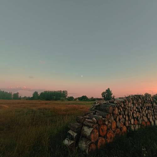 Photo #9675638