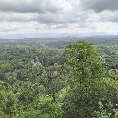 Photo #9675847
