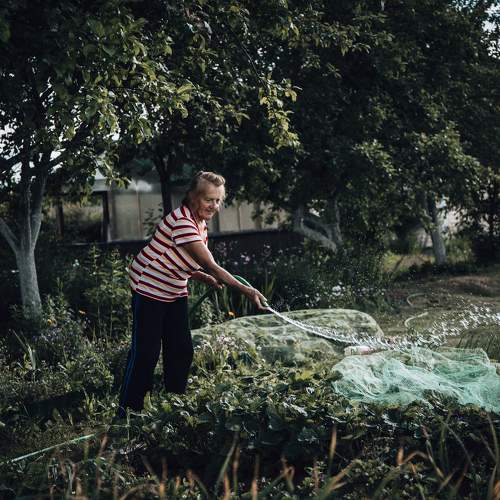 Photo #9676475