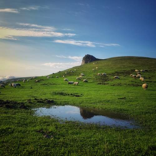 Photo #9676564