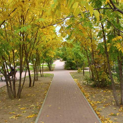 Photo #9676609