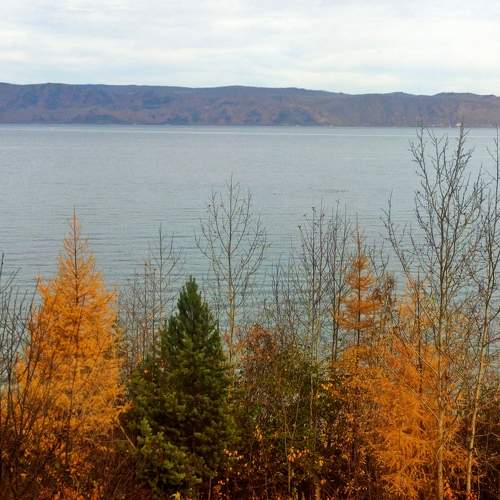 Photo #9676680