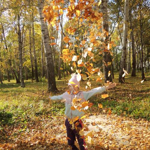Photo #9677049