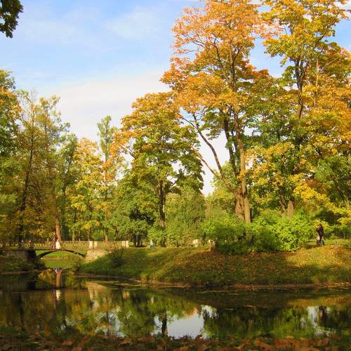 Photo #9677066