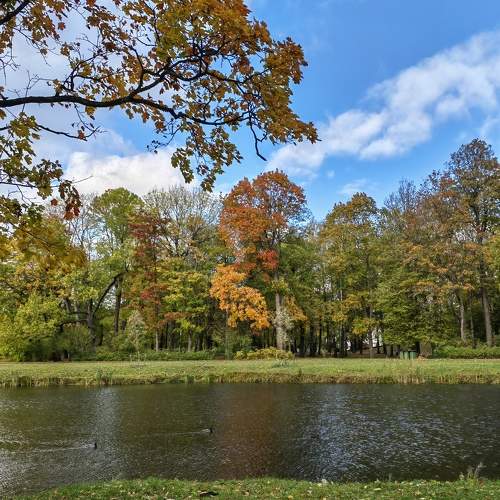 Photo #9677116