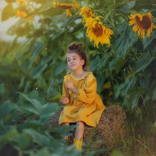 Photo #9677124
