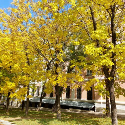 Photo #9677187