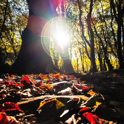 Photo #9677347