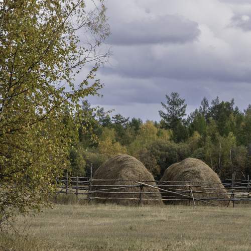 Photo #9677437
