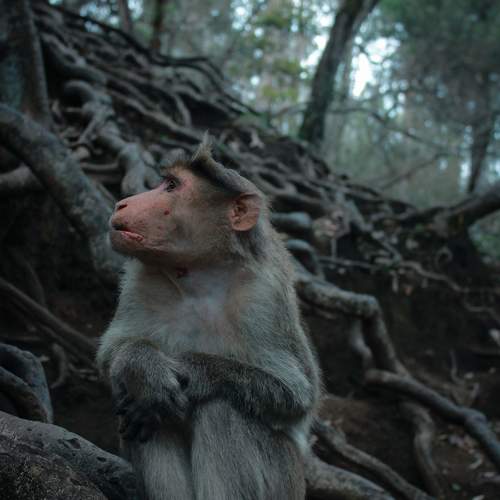 Photo #9677737