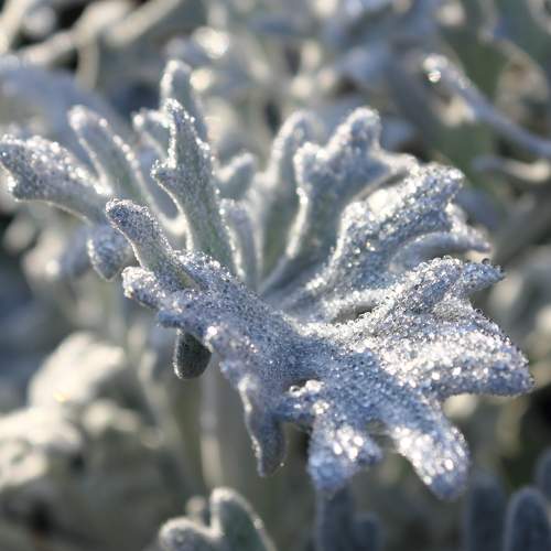Photo #9677771
